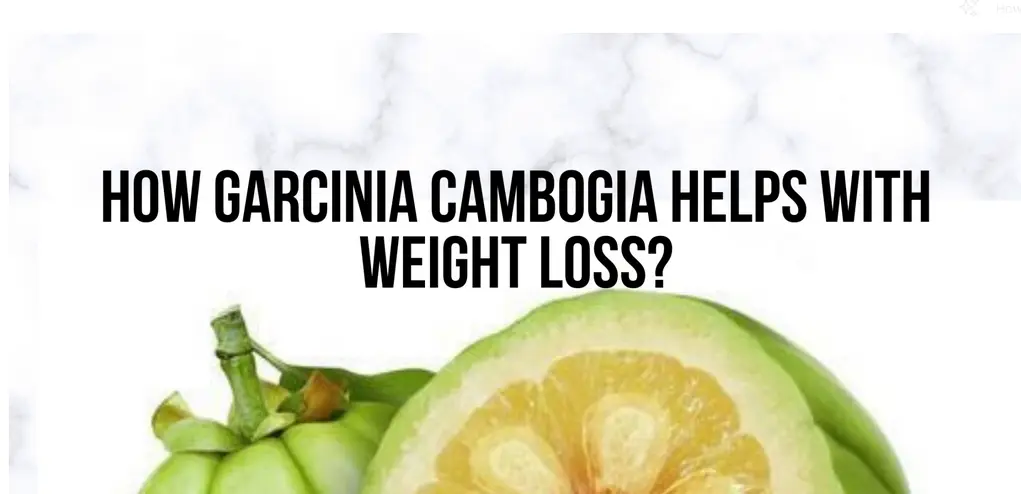 garcinia and weight loss