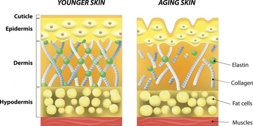 Image of aging sking and younger skin-vitamin for skin