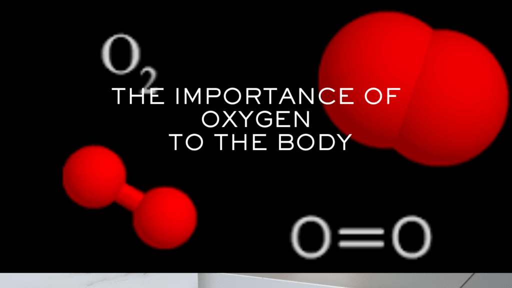 the importance of oxygen rich blood to the body
