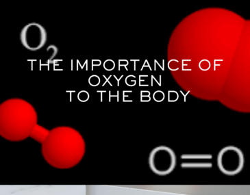 the importance of oxygen rich blood to the body