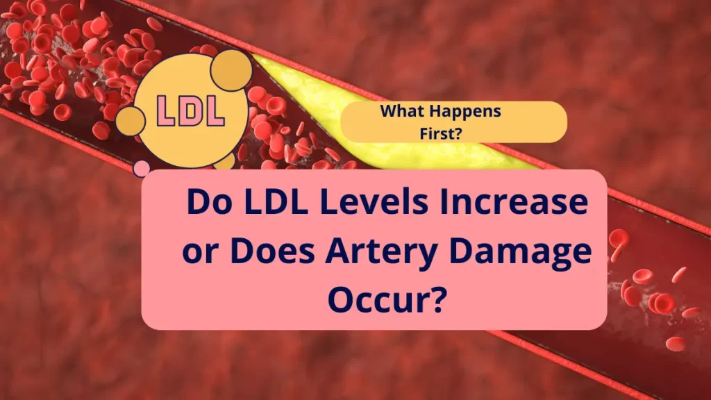 Do LDL Levels Increase or Does Artery Damage Occur?