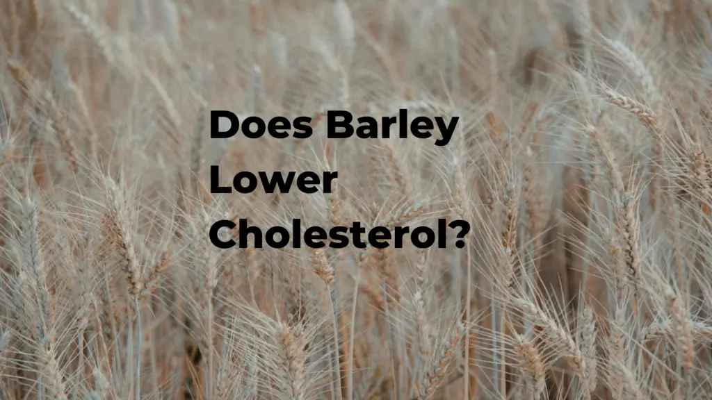 does barley lower cholesterol