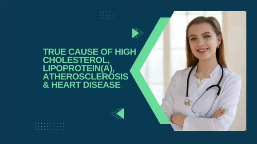 Blog post on true cause of heart disease –high cholesterol –high lpa