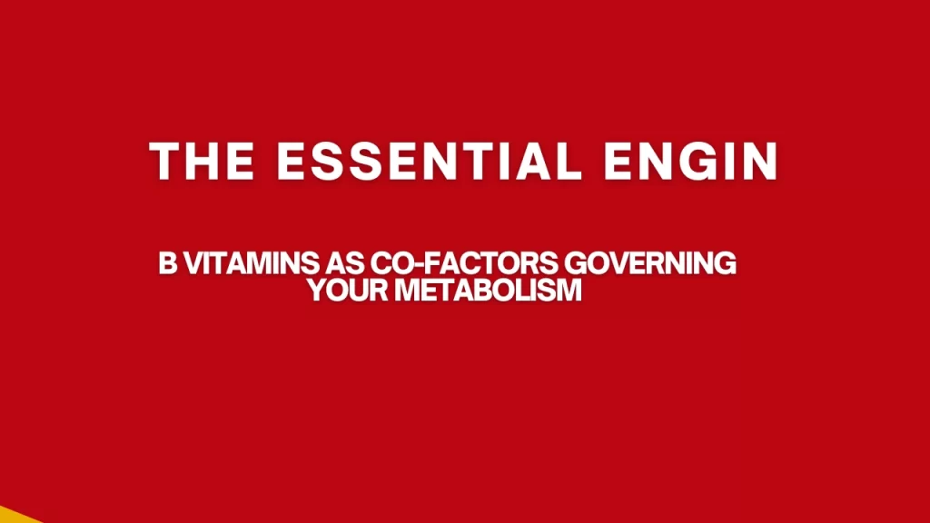 The Essential Engine: B Vitamins as Co-Factors Governing Your Metabolism