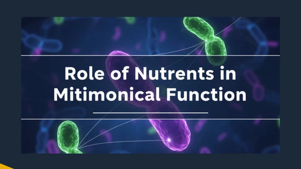 role of nutrients in mitochondrial function